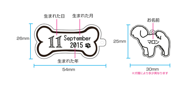 ワンちゃんのバースデーキーホルダー 3枚目の画像
