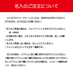 蓄光 ふくろう (A) ラッキー チャーム ミニ ブラック 縁起物 両面 安全グッズ キーホルダー フクロウ 非常時 5枚目の画像