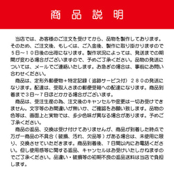 蓄光 ふくろう (A) ラッキー チャーム ミニ ブラック 縁起物 両面 安全グッズ キーホルダー フクロウ 非常時 6枚目の画像