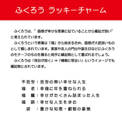 蓄光 ふくろう (A) ラッキー チャーム ミニ ブラック 縁起物 両面 安全グッズ キーホルダー フクロウ 非常時 4枚目の画像