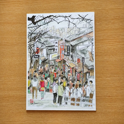 水彩画 原画 清 原画：お好きな植物を、博物画風の植物画でお描きします