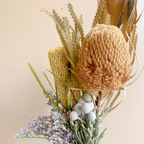 フォルモーサのおおきめブラウンスワッグ