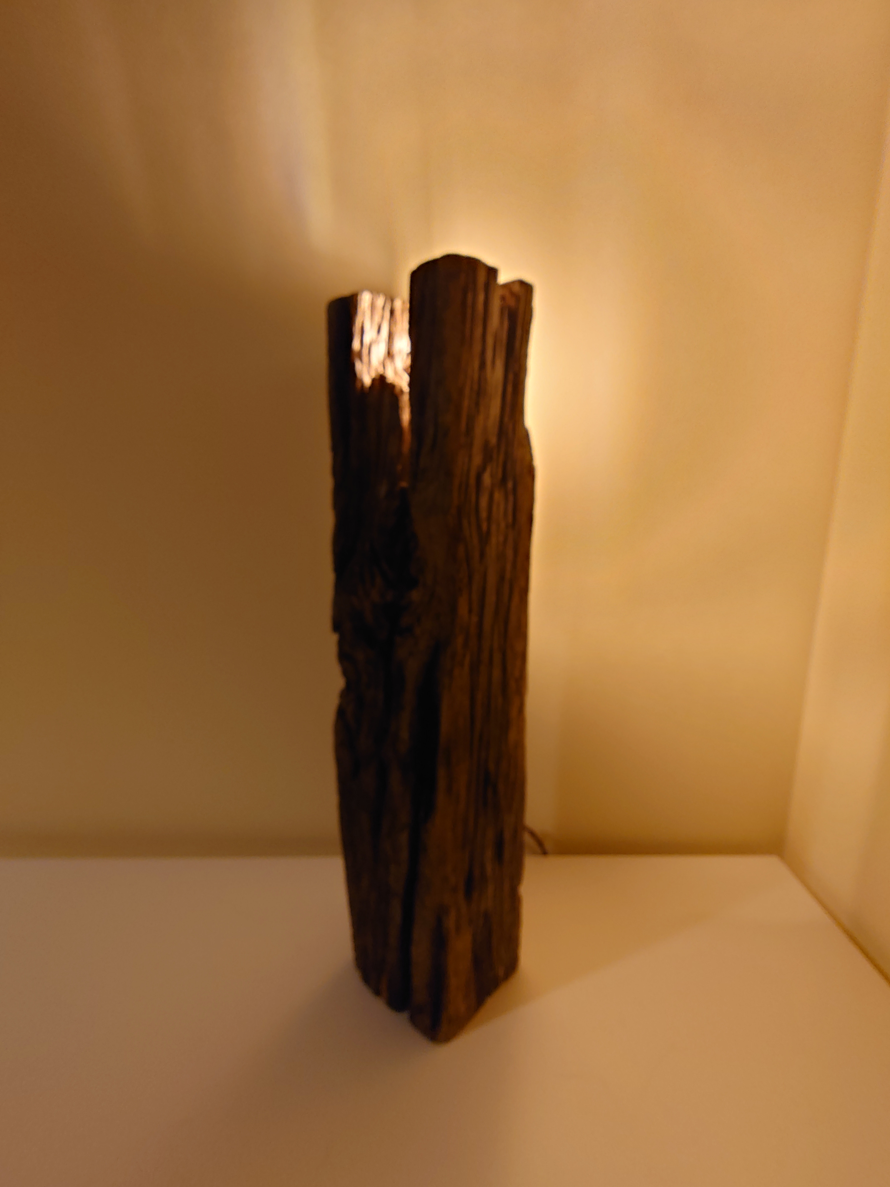 【アート】【流木ランプ/流木ライト】　TOMOSU〜灯す〜