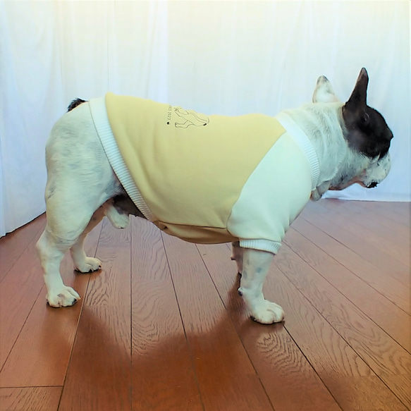 アパレル使用生地　フレブル服　裏毛トレーナー　秋冬　ラグラン　カフェオレ　中型犬 3枚目の画像