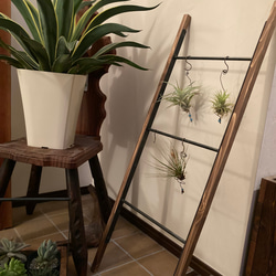 アイアン什器 鉄家具 アイアン家具 植物棚 アイアンスタンド展示台