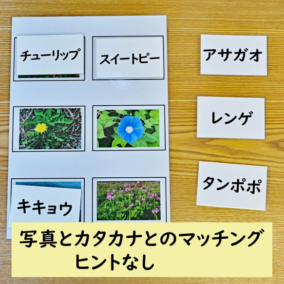 カタカナの学習セット　カタカナのマッチング　花の写真編　カタカナを読む学習に 6枚目の画像