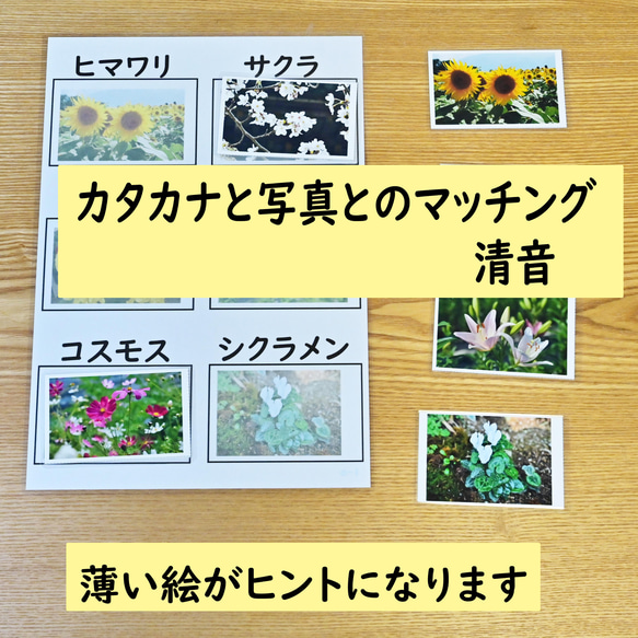 カタカナの学習セット　カタカナのマッチング　花の写真編　カタカナを読む学習に 2枚目の画像