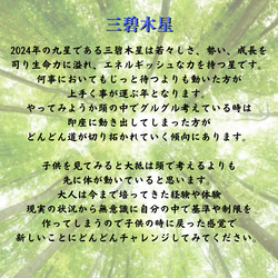 ◆2024年碧色ブレスレット【一歩踏み出したら成功・達成へ一直線】三碧木星　九星気学　天然石ブレスレット　成長　発展 2枚目の画像