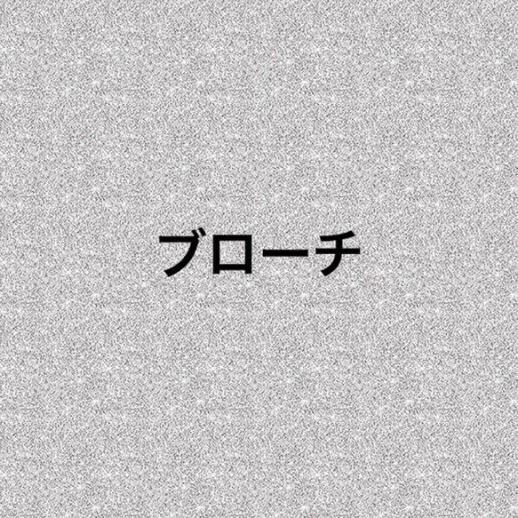 ブローチ 1枚目の画像