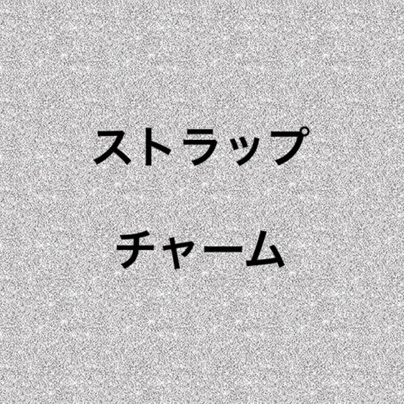 ストラップ チャーム 1枚目の画像