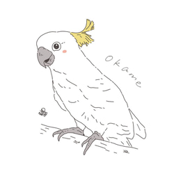 【先着3名様限定価格 】☆★  動物のシンプル似顔絵イラスト【鳥、その他の動物OK】 ★☆アイコンやプレゼントに大人気 4枚目の画像