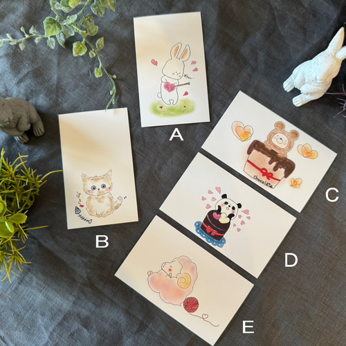 【未開封】Angel Cats-こねこたちからの45枚のメッセージカード- Amazon.co.jp: Angel Cats - 45 Message Cards from Kittens