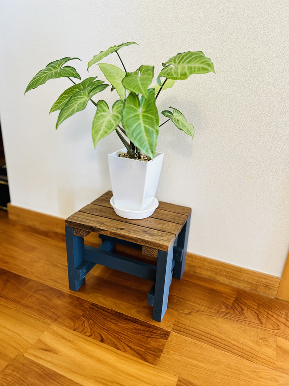 鉢置き　小物置き　置き台　踏み台　植物置き　木製台　ディキシーブルー 6枚目の画像