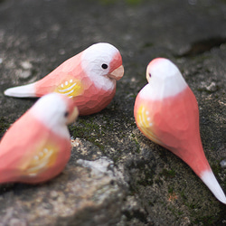 雲斑のインコの木彫り小鳥 秋の草のインコ 手作りの木製置物 8枚目の画像