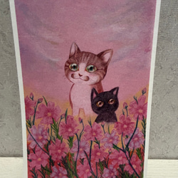 猫のポストカード　７枚入りセット 7枚目の画像