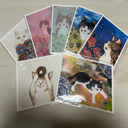 猫のポストカード　７枚入りセット 1枚目の画像