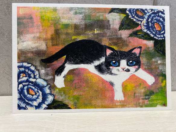 猫のポストカード　７枚入りセット 2枚目の画像