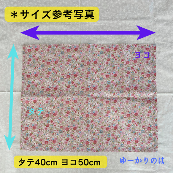 【受注生産】入学グッズ⭐︎⭐︎給食袋andランチョンマットセット⭐︎巾着 6枚目の画像