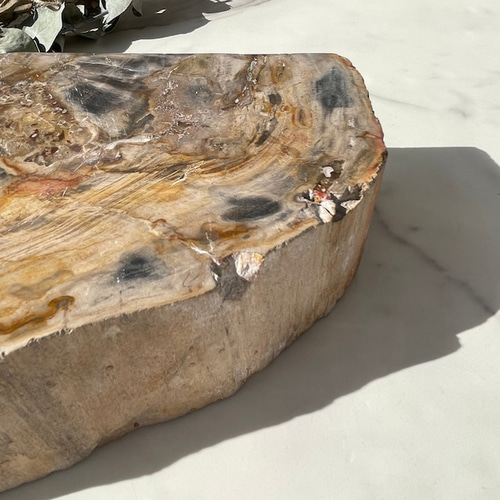 ペトリファイドウッド】ブックエンド（2872g）鉱物 天然石 樹木