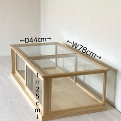 mikazuki様専用 引き戸ガラスケース 1枚目の画像