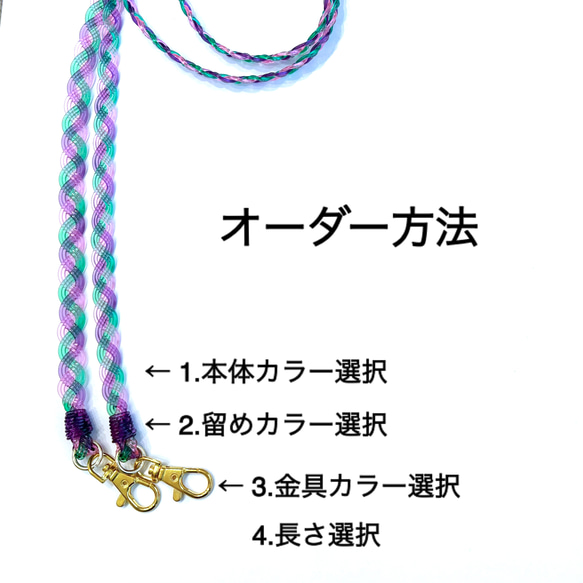  第6張的照片
