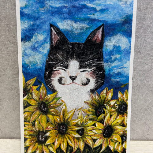 ルイ ポストカード3枚セット ラスピ BMSG TRAINEE RUI ポストカード 3