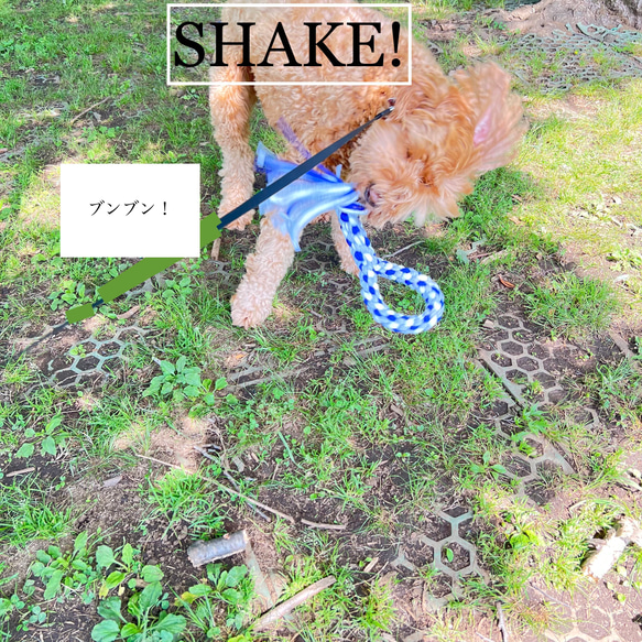 【半額セール】犬のおもちゃ・ループ型・ロープトイ・ドッグトイ・かみかみおもちゃ・犬用ギフト/ 耐久性ニット-4 16枚目の画像