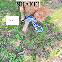 【セール】犬用おもちゃ・ドックトイ・かみかみおもちゃ・ロープトイ（耐久性のあるニット素材）-1 7枚目の画像