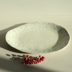 粉雪シリーズ　楕円のプレート皿 4枚目の画像