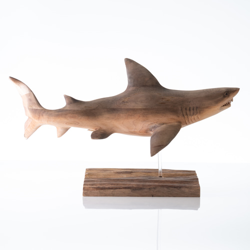 ホオジロザメ(楓)大35cm 立体・オブジェ カエルの一生 通販