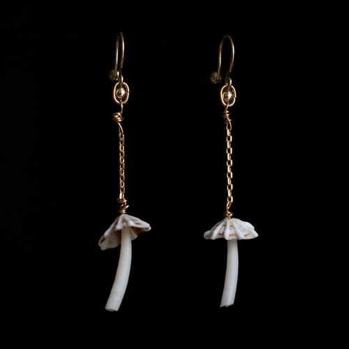 きのこ好きにはたまらない！ 小さく華奢に揺れる海のきのこ