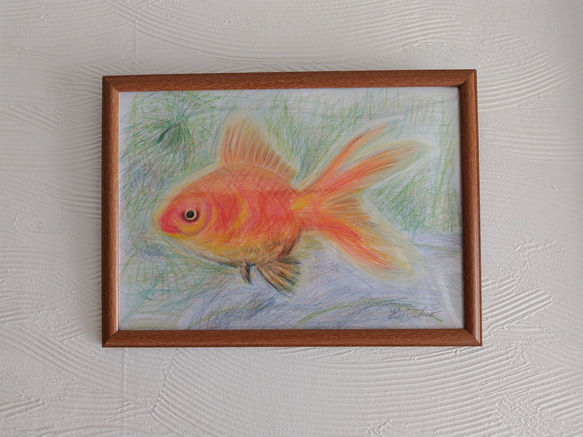 色鉛筆画　金魚 1枚目の画像