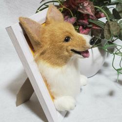 羊毛フェルト オーダー  「リアルで可愛いワンちゃん」うちの子 ペット 犬 コーギー ぬいぐるみ いぬ 4枚目の画像
