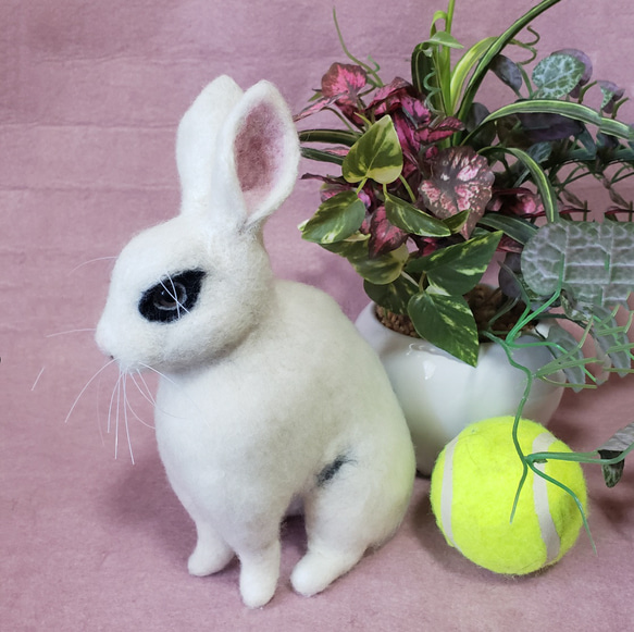 羊毛フェルト オーダー 「リアルで可愛いウサギちゃん」うちの子 ペット うさぎ ぬいぐるみ 2枚目の画像