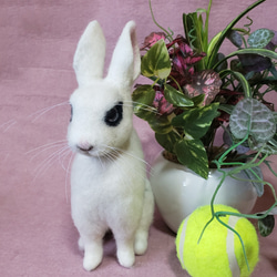 羊毛フェルト オーダー 「リアルで可愛いウサギちゃん」うちの子 ペット うさぎ ぬいぐるみ 3枚目の画像