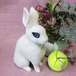 羊毛フェルト オーダー 「リアルで可愛いウサギちゃん」うちの子 ペット うさぎ ぬいぐるみ 1枚目の画像