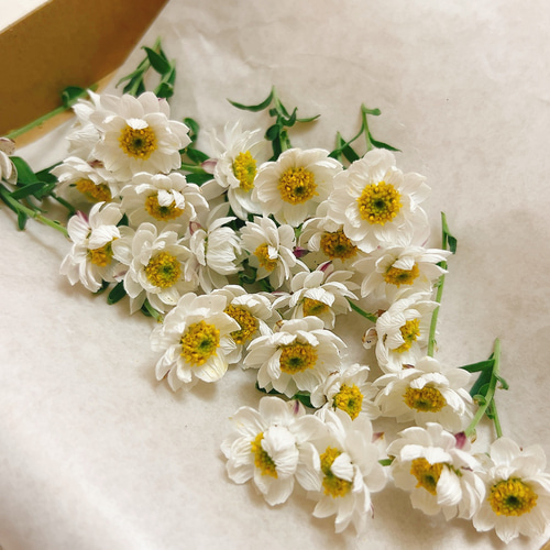 花かんざし ドライフラワー ドライフラワー Satsuki 通販