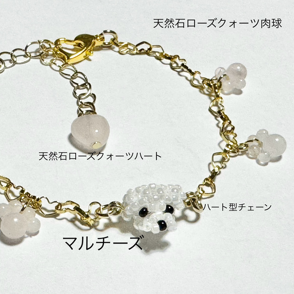 トイプードル　　マルチーズ　ピアス　ブレスレット　リング トイプードル マルチーズ ピアス ブレスレット リング