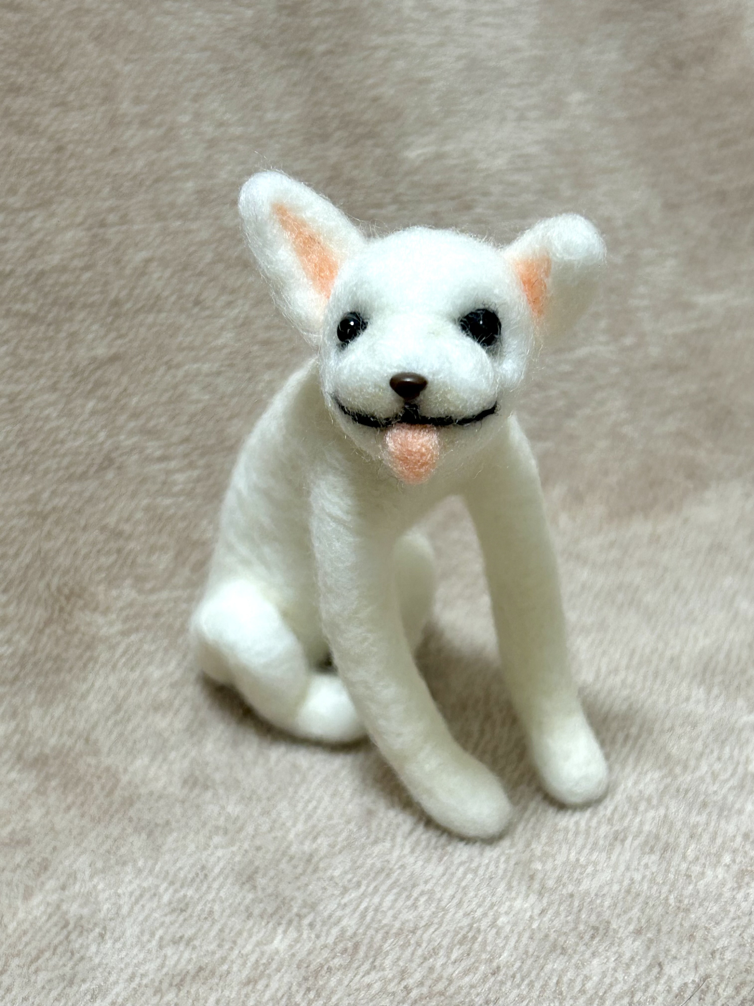 羊毛フェルト　フレンチブルドッグ 羊毛フェルト フレンチブルドッグ - FUWAWAWANN'S GALLERY