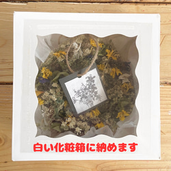  第6張的照片