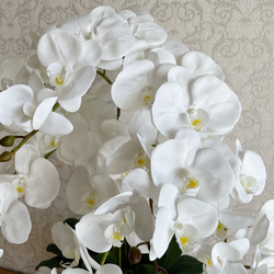 「送料無料」枯れない胡蝶蘭　高級感漂う白の胡蝶蘭フラワーアレンジメント 6枚目の画像