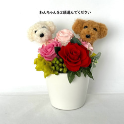 アレンジメントとダックスフンド＆ プリザーブドフラワー（ピンク色系