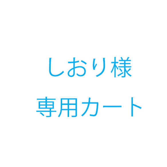 しおり様オーダー品 1枚目の画像