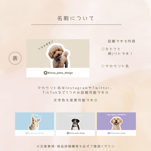 うちの子名刺［両面印刷100枚］カスタマイズ可能◎ 小動物・多頭