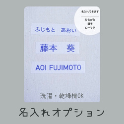 【名入れオプション】12種類の中から選べるおなまえアイロンシール　入園準備　入学準備　洗濯・乾燥機OK ネームシール 3枚目の画像