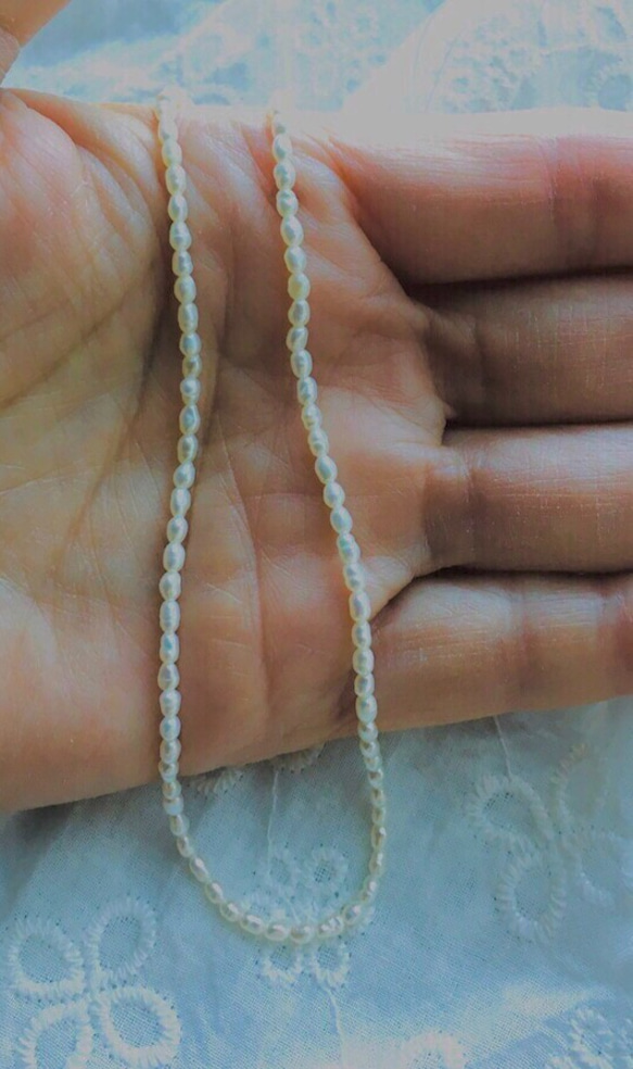 #431 極小！レアカラー　グレージュ　湖水真珠　2×3ミリ【20個】デッドストック　高品質淡水真珠　ライス 11枚目の画像