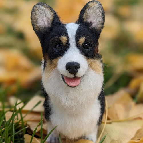 コーギー ころころわんこ 羊毛フェルト うちの子 犬 マスコット