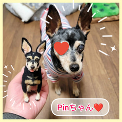 ミニピン 【小さなリアル】 オーダー   羊毛フェルト＋犬  ミニチュア・ピンシャー ペットロス 9枚目の画像