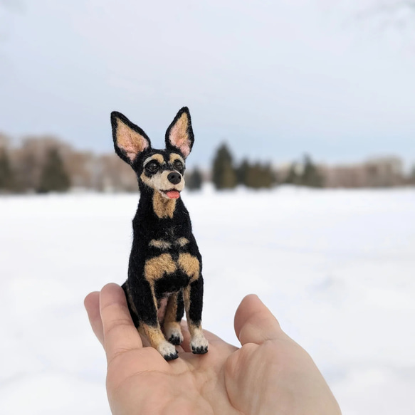 ミニピン 【小さなリアル】 オーダー   羊毛フェルト＋犬  ミニチュア・ピンシャー ペットロス 11枚目の画像