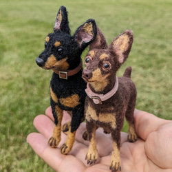 ミニピン 【小さなリアル】 オーダー   羊毛フェルト＋犬  ミニチュア・ピンシャー ペットロス 14枚目の画像